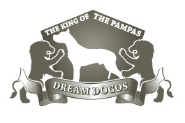 Dream Dogos - Dogo Argentino Breeder