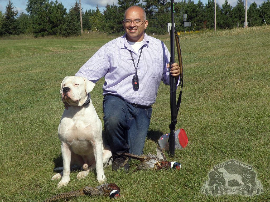 A man holding a shotgun and a white dog