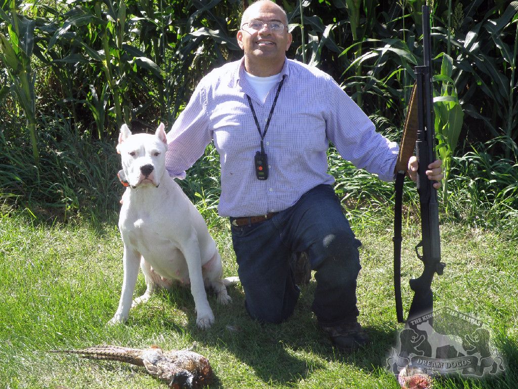 A man holding his dog and a gun